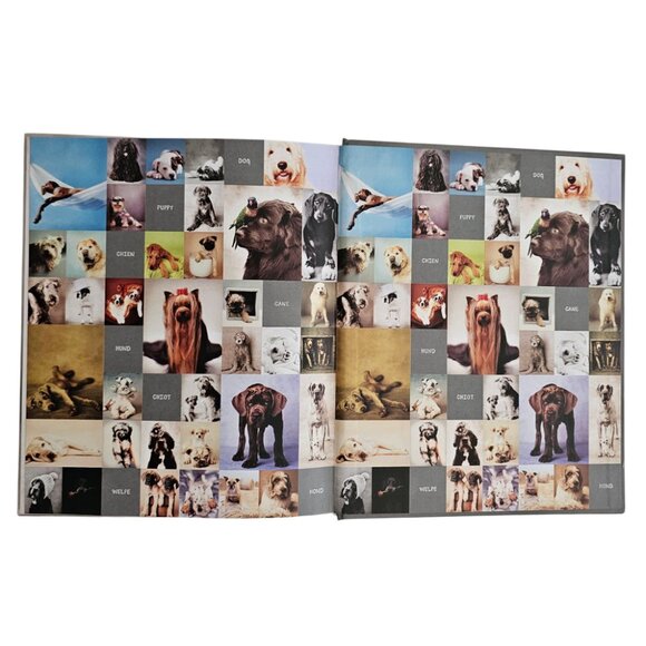 My Dog Record Book By Rachael Hale | Hardcover | NWT | Gray Red - Picture 3 of 12